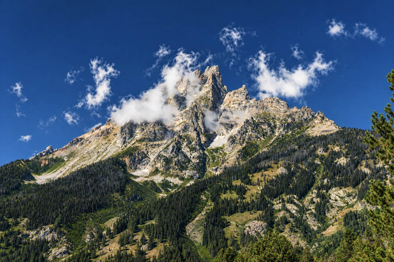 Snow-capped Teton peaks above an alpine forest