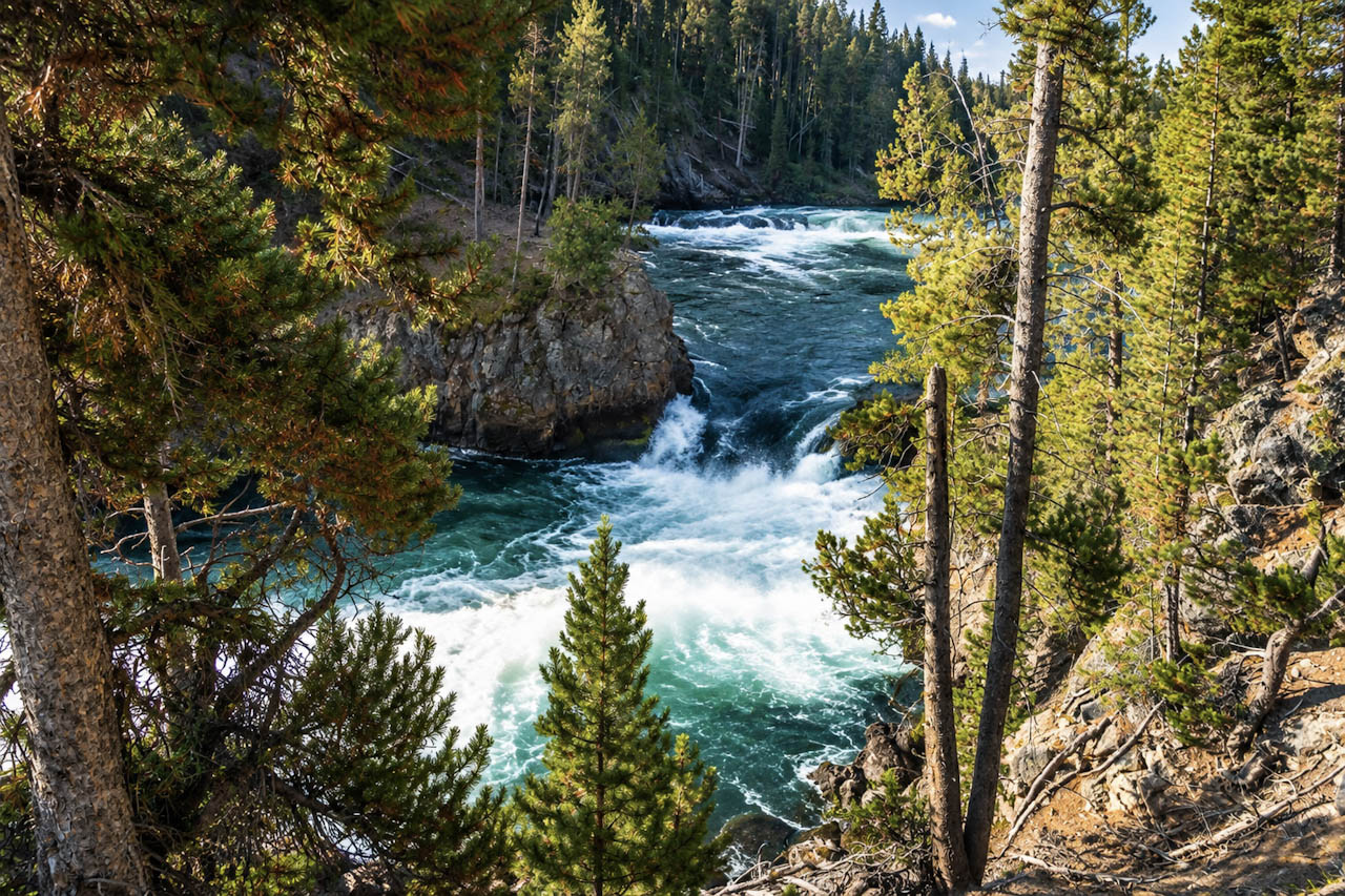 Blue river cutting through the forest